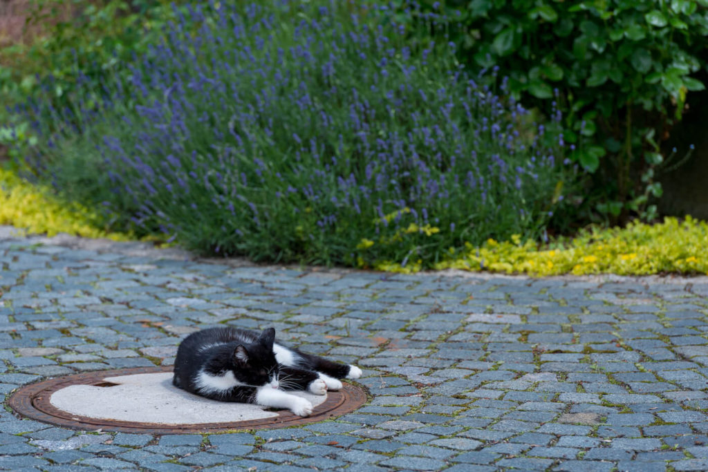 Ferienwohnungen Hägler in Weiden in der Oberpfalz