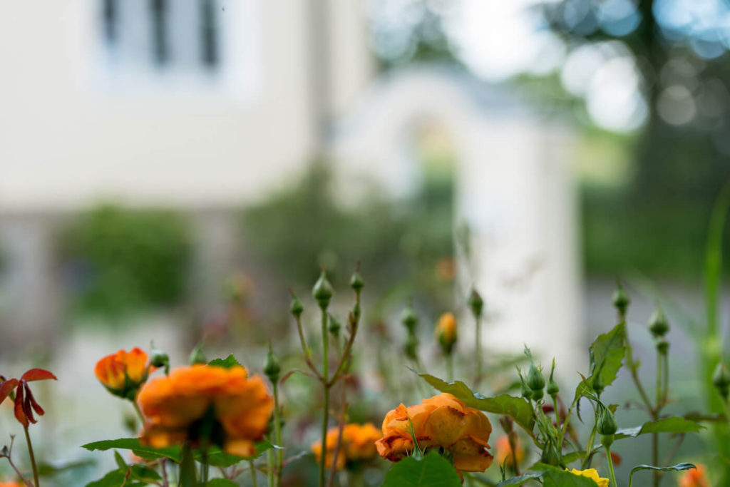 Ferienwohnungen Hägler in Weiden in der Oberpfalz